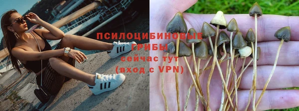 спиды Алексеевка