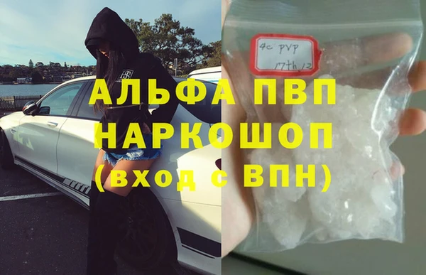 прущие крисы Алзамай
