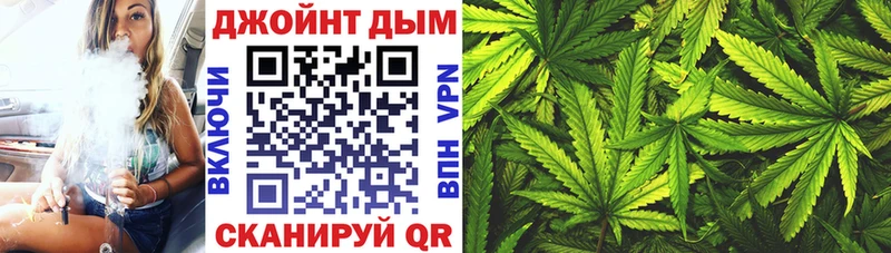 Каннабис MAZAR Жиздра